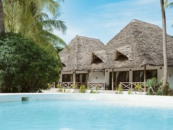 JOY OF ZANZIBAR - Dış Mekan