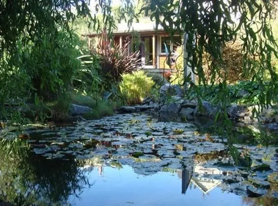 JOYA GARDEN VILLA STUDIOS AND ORGANIC BED BREAKFAS