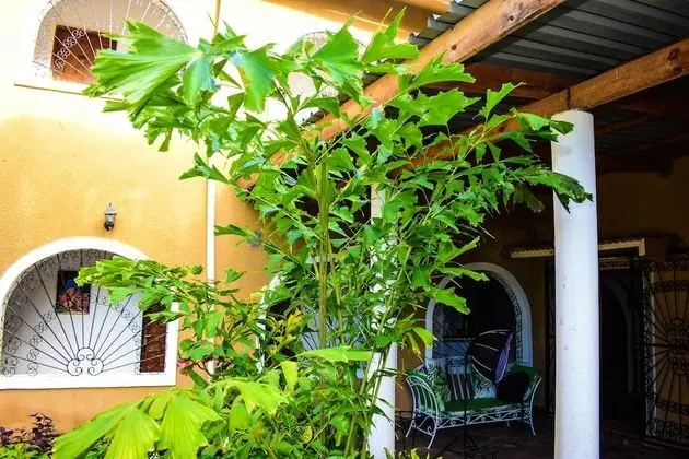 JoysVilla Family Holiday Home - Dış Mekan