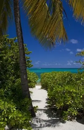 Jumby Bay Island - Oetker Collection - Plaj