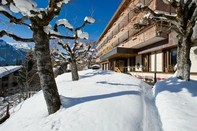Hotel Jungfraublick Wengen - Dış Mekan