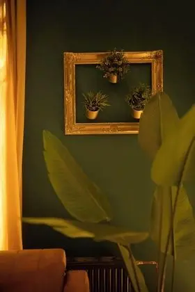 Jungle Apartments - Oda Manzaraları