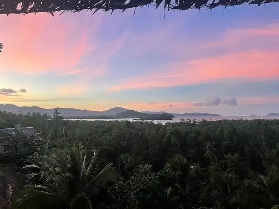 Jungle bar resto & huts