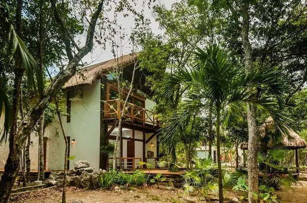 Jungle Chic Villa inTulum - Dış Mekan