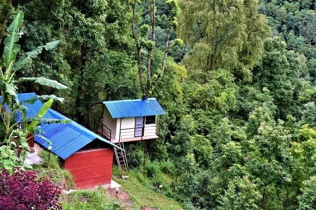 Jungle Crown Organic Homestay - Konum Öne Çıkanlar