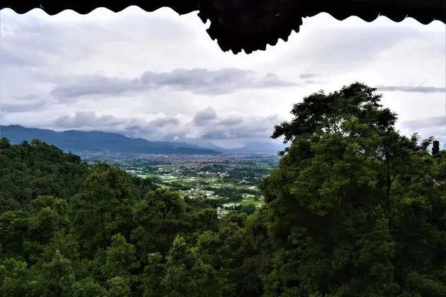 Jungle Crown Organic Homestay - Oda Manzaraları