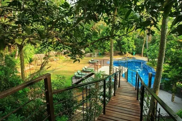 Jungle Village By Thawthisa