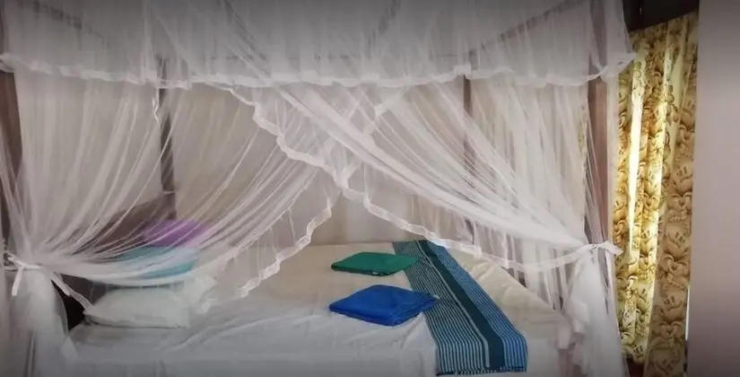 Jungle Guest Mirissa