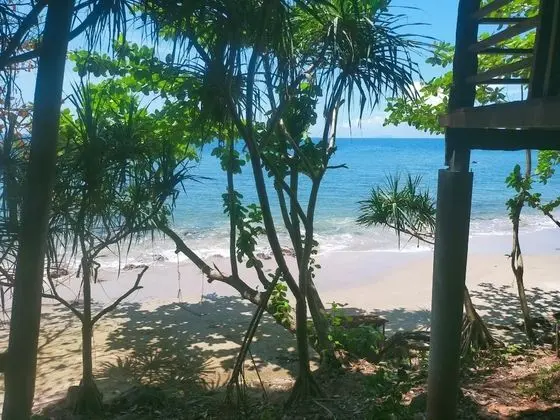 Jungle Hill Beach Bungalow - Plaj