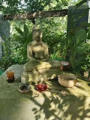 Jungle house - Dış Mekan