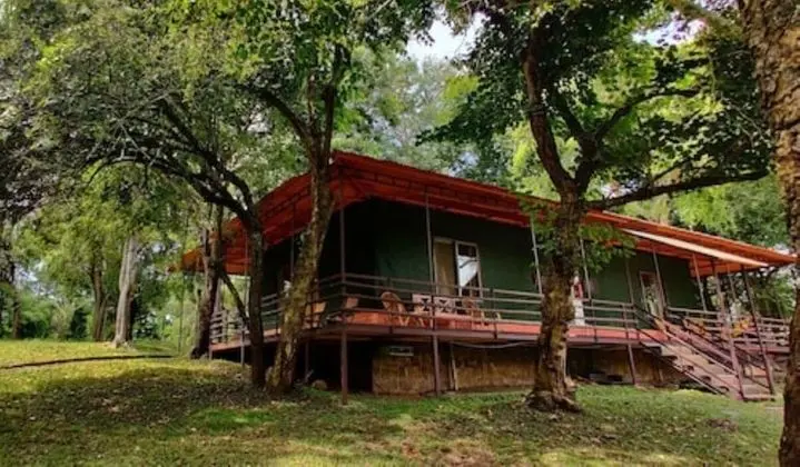 Jungle Hut Resorts
