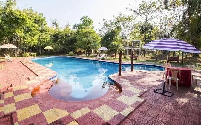 Jungle King Resort
