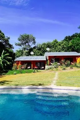 Jungle Lodge at Wild Sun Rescue - Havuz