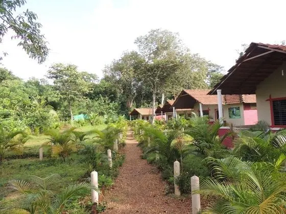 Jungle Nest Homestay
