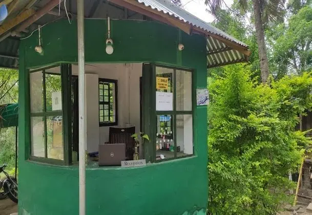 JUNGLE PARADISE FARM AND GUEST HOUSE - Lobi