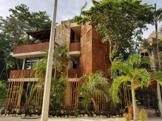 Jungle Penthouse