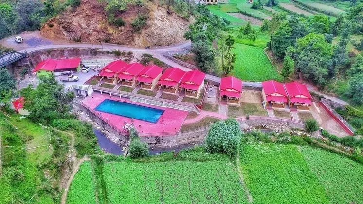The Jungle Pool