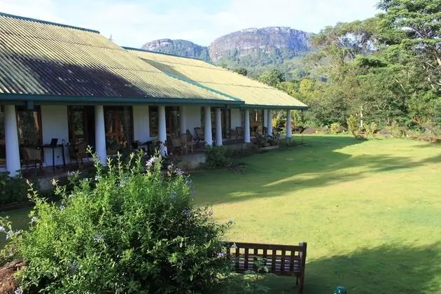 Jungle Tide Bungalow