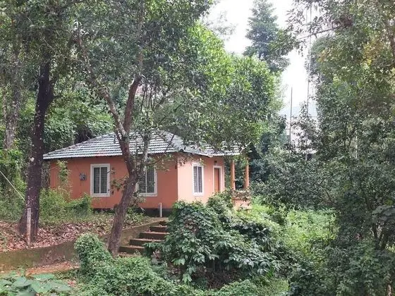 Jungle Valley Resort