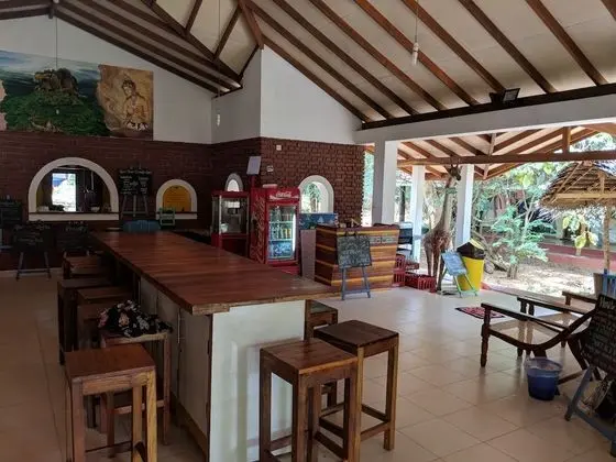 Jungle Vista