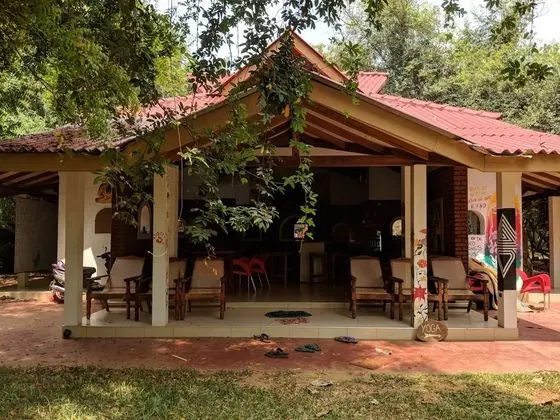 Jungle Vista