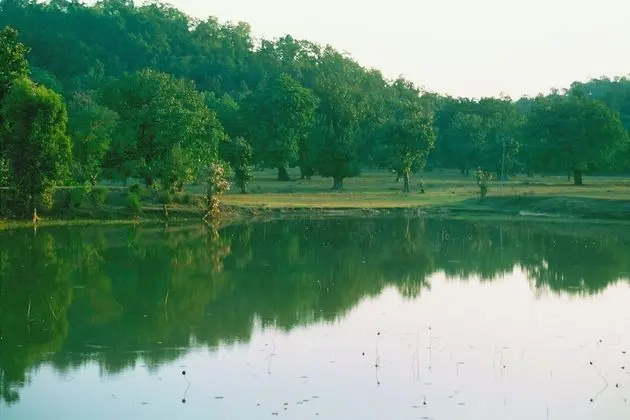 Junglemantra Resorts
