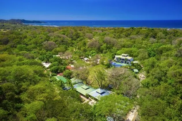 Jungle's Edge Ecolodge