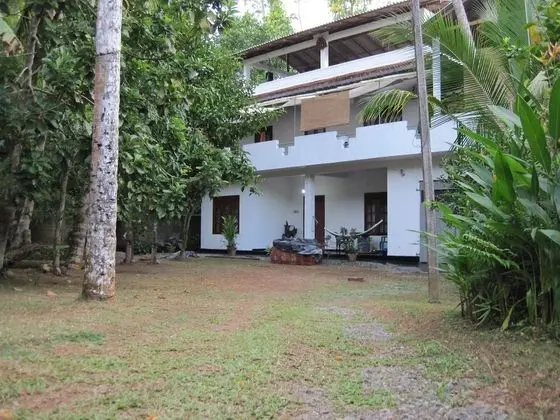 Jungleside House - Dış Mekan