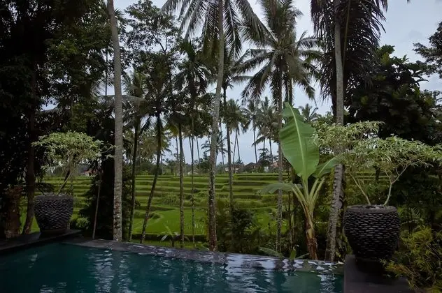 Junjungan Suite Villa - Havuz