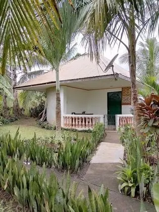 Jupiter's Garden Resort - 1