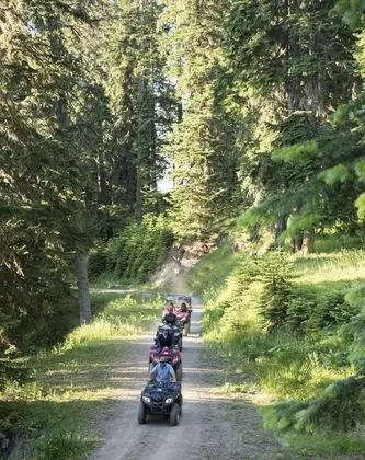 Jura Hotels Ilgaz Mountain & Resort - 10