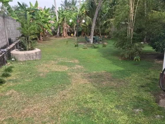 Jurys Bungalow - Dış Mekan