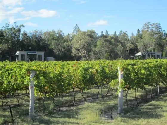 Just Red Wines Vineyard Cabins - Dış Mekan