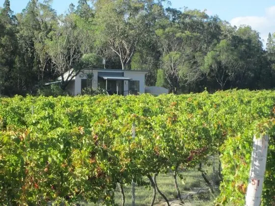 Just Red Wines Vineyard Cabins - Oda