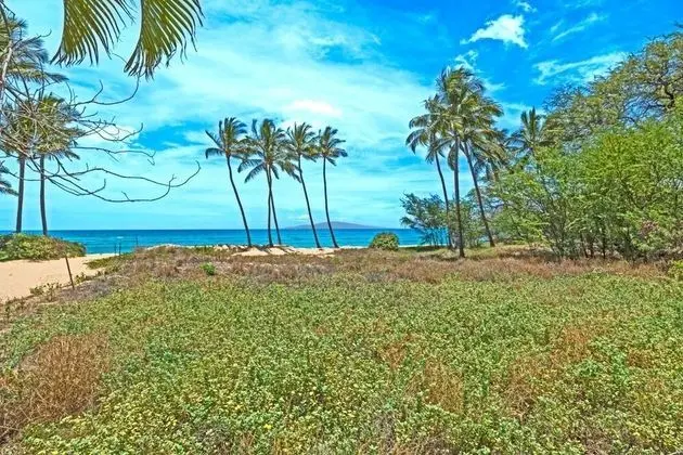 K B M Resorts- Hale-1470 Presidential 3bd, 3ba Beach-front Estate, A/c, Private Yard! - Plaj