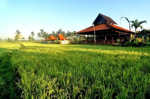 Kabinawa Ubud Villas by Pramana Villas - Dış Mekan