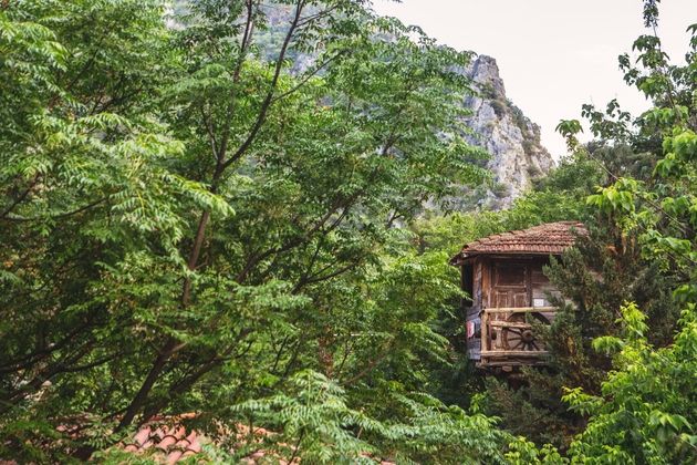 Kadir`s Tree HousesFotoğrafı