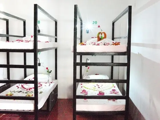Kafu Hostel & Pool - Oda
