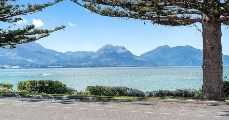 Kaikoura Waterfront Apartments - Plaj