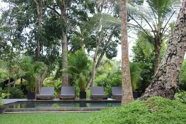 KAJU GREEN eco lodges - Havuz