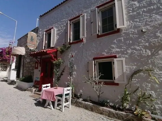 Kaktushan Otel