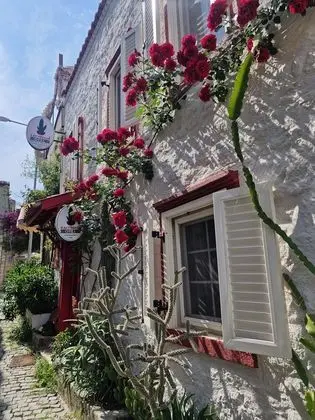 Kaktushan Otel