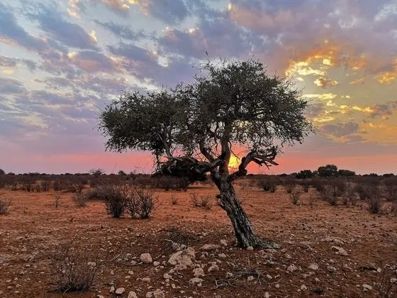 Kalahari Anib Camping2Go - Dış Mekan