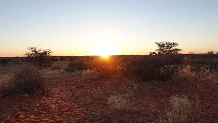 Kalahari Anib Lodge - Dış Mekan