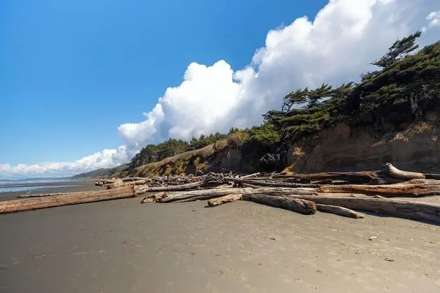 Kalaloch Lodge - Plaj