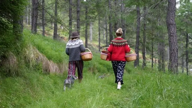 Kaldá Lyngholt Holiday Homes