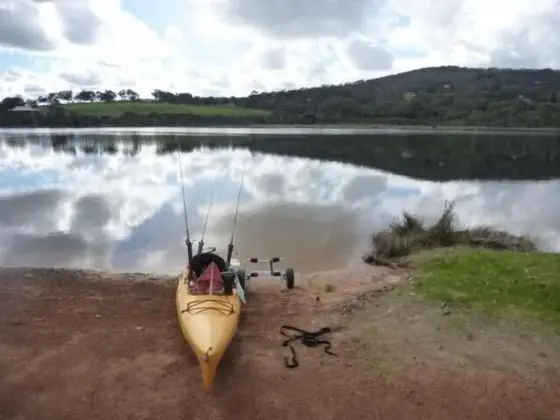 Kalgan River Chalets and Caravan Park - Genel