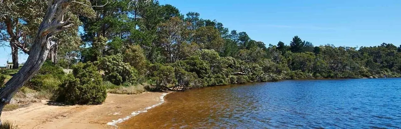 Kalgan River Chalets and Caravan Park - Plaj
