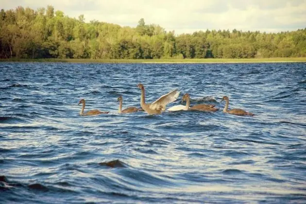 Kallhällsbaden Vandrarhem - Plaj