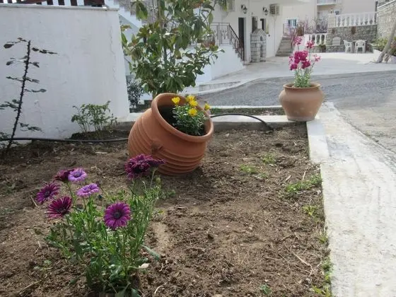 Kallisto Studios - Dış Mekan